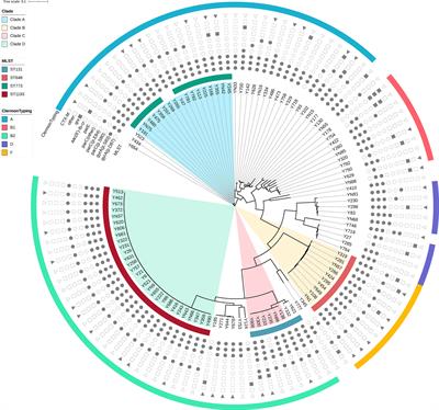 Prevalence and Molecular Characterization of Fluoroquinolone-Resistant Escherichia coli in Healthy Children